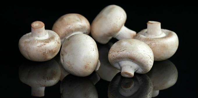 Seened - šampinjonid mushroomy
