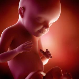 29. rasedusnädalast: funktsioone, tundeid, tunnistused