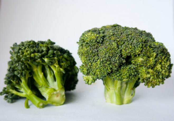 brokoli - 