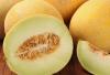 Kuidas valida mahlast melonit: parimad näpunäited