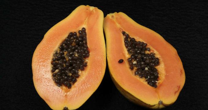 Papaya - papaia