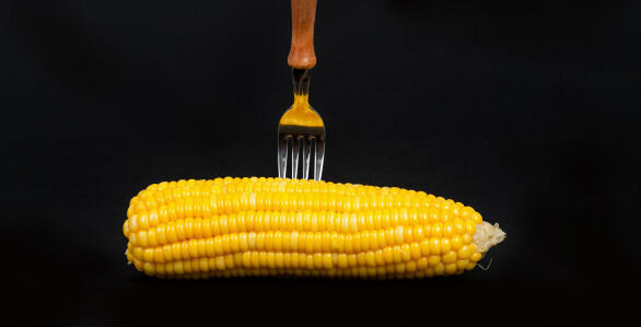 Corn - mais