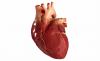 3 põhifaktori põhjus südamehaigused