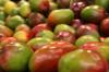 Kuidas kodus mangot kasvatada: juhised samm-sammult