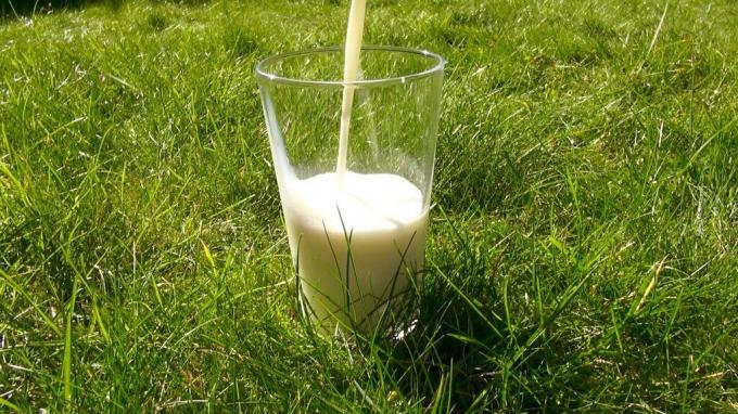 Piima kauplustes sisaldab kaseiini A1, mis organismis pöördeid 