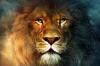 12 tunnused Lions, mille eest te armastate neid