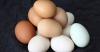 Hajutada müüti vastuolulise kahju munad