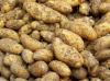 Kuidas valida ohutu kartulid: 13 vihjeid