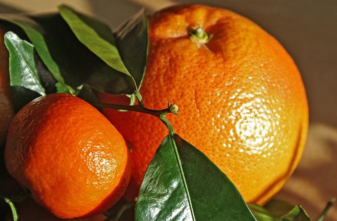 Orange - oranz