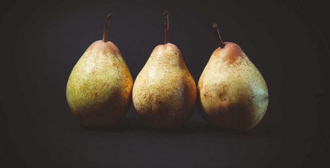 Pear - pirn