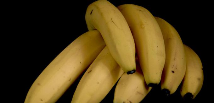 Banaanid - banaan