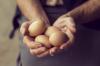 Kõik, mida tahtsite teada kanamunade kohta: 5 olulist fakti